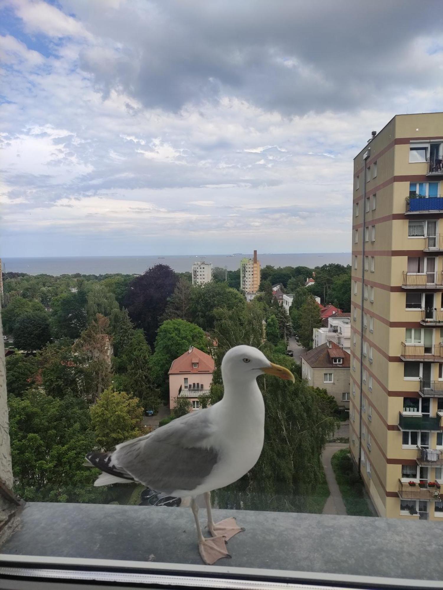 ソポトApartament Widokowoアパートメント エクステリア 写真